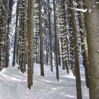 Mittagsführung "Winterzeit - stille Zeit?"